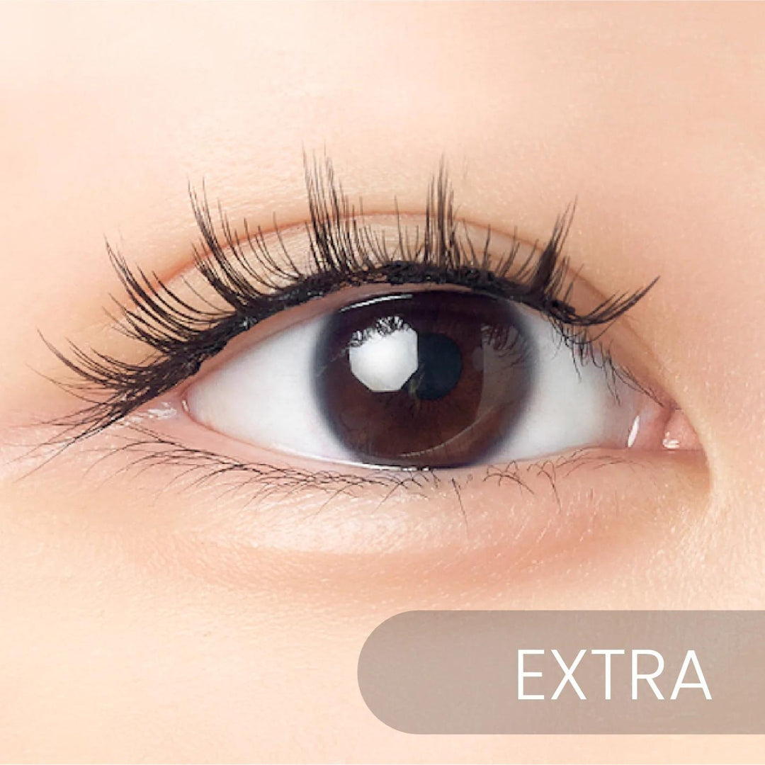 Magnetic Faux Lashes™ - KissVara - Magnetic Lashes - Extra, & . Beauty & Skincare | Faux | Kiss Vara |